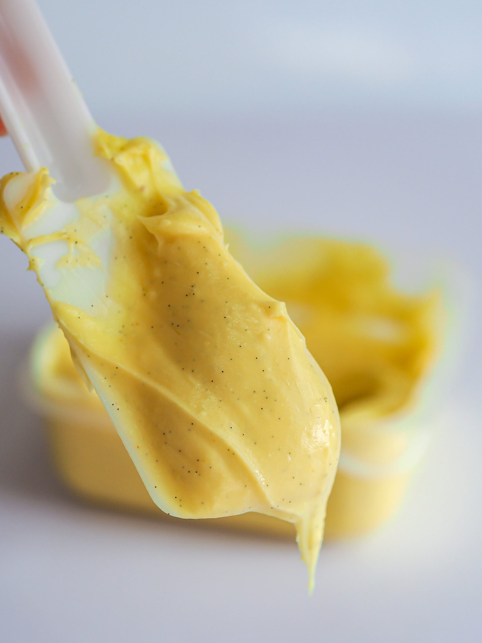 crema pasticcera vaniglia