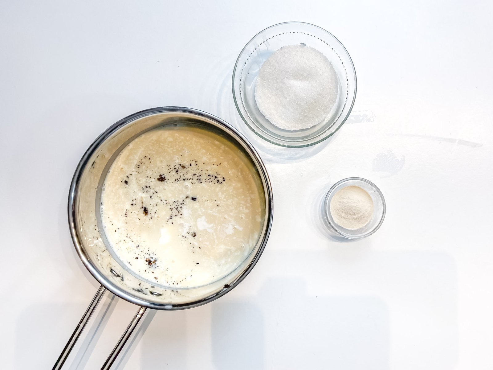 pannacotta agar 1