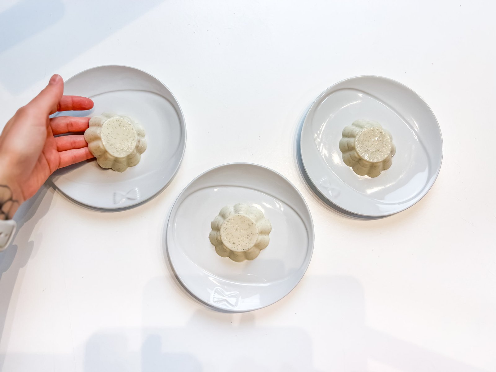pannacotta agar 8