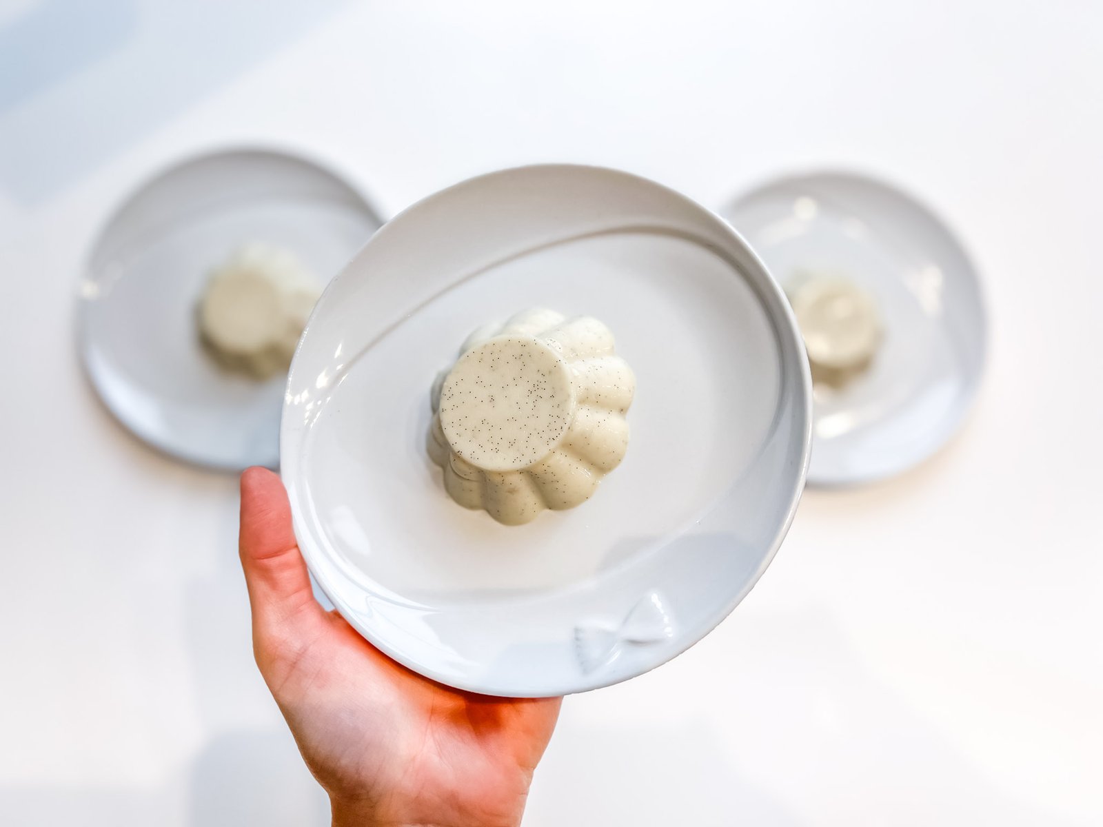 pannacotta agar 9
