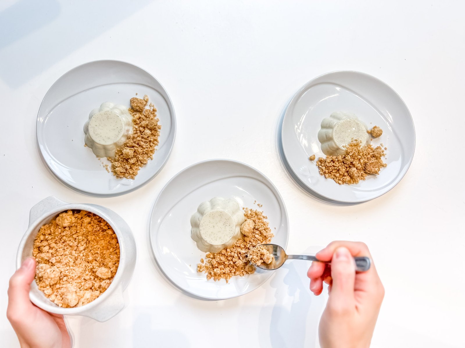 pannacotta agar 10
