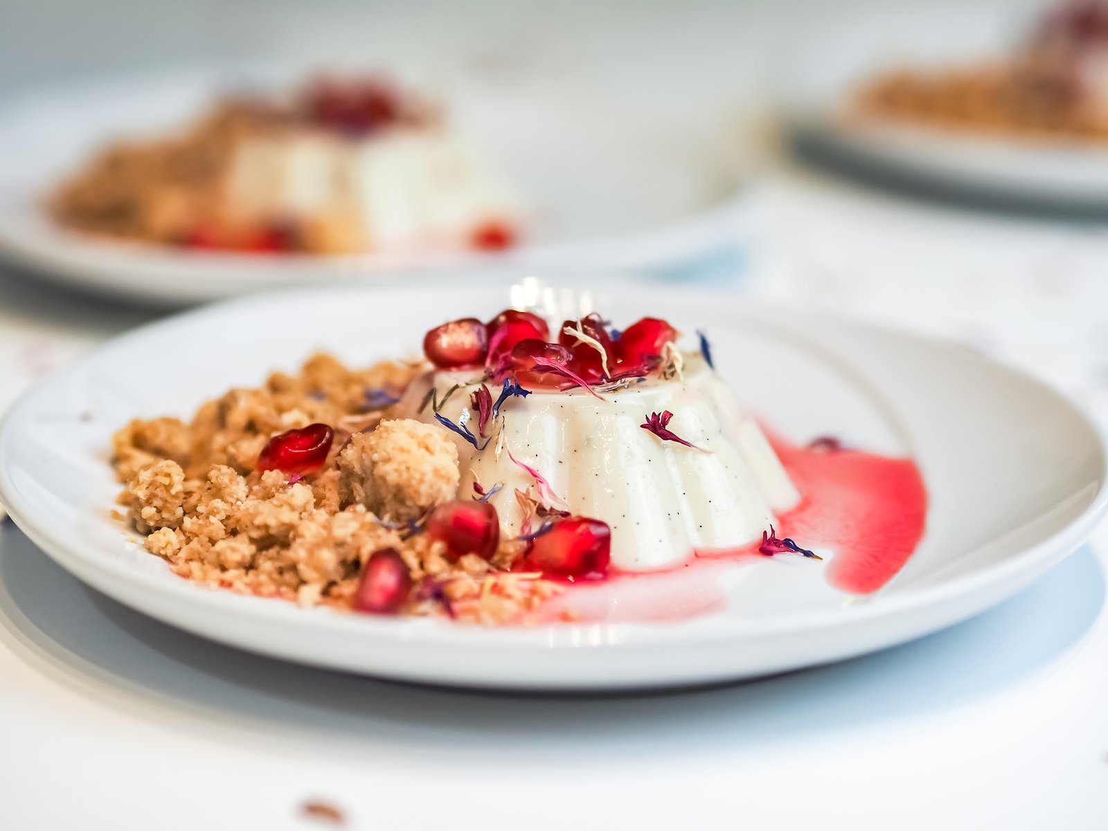 pannacotta agar 14