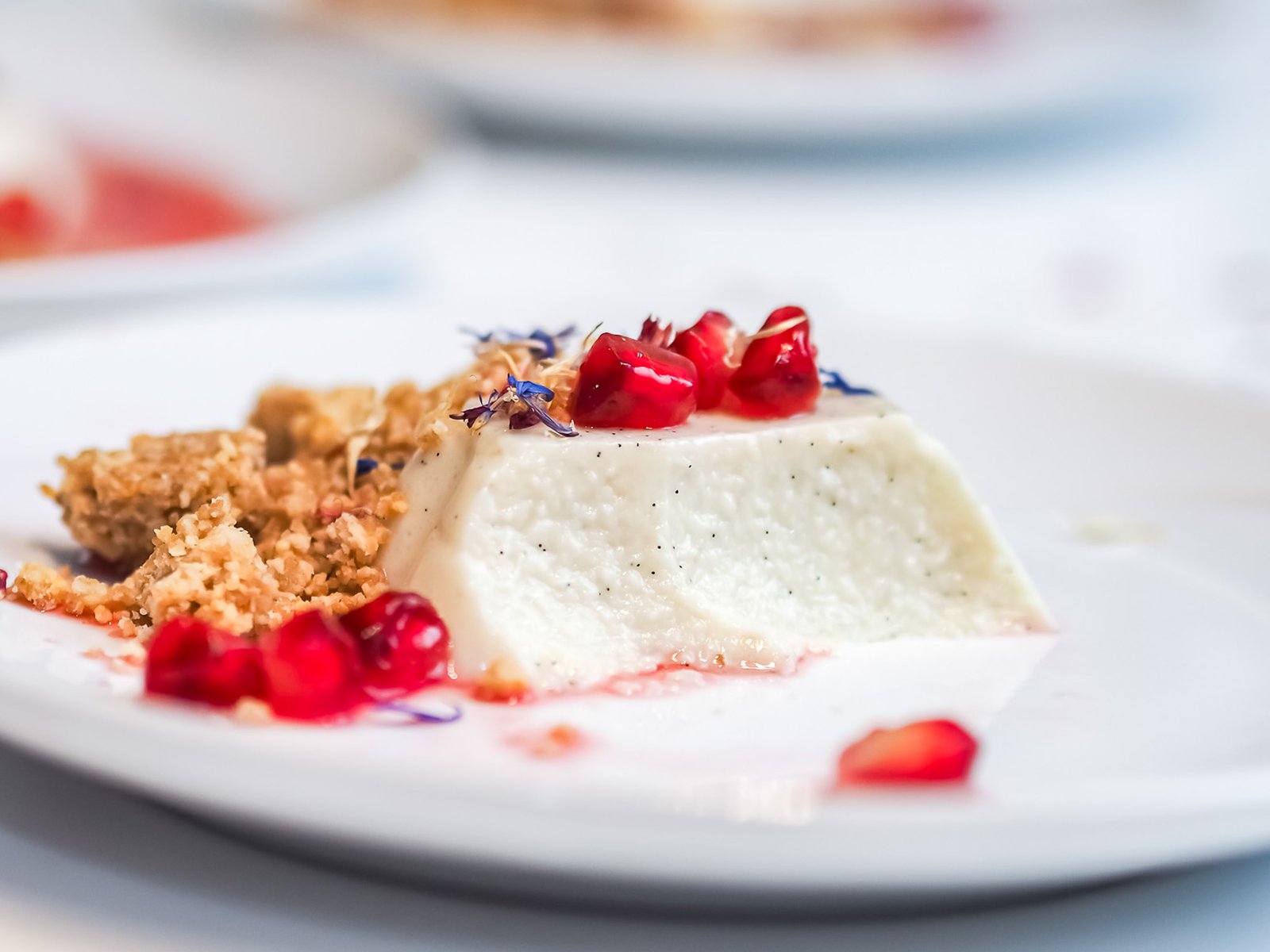 pannacotta agar 13