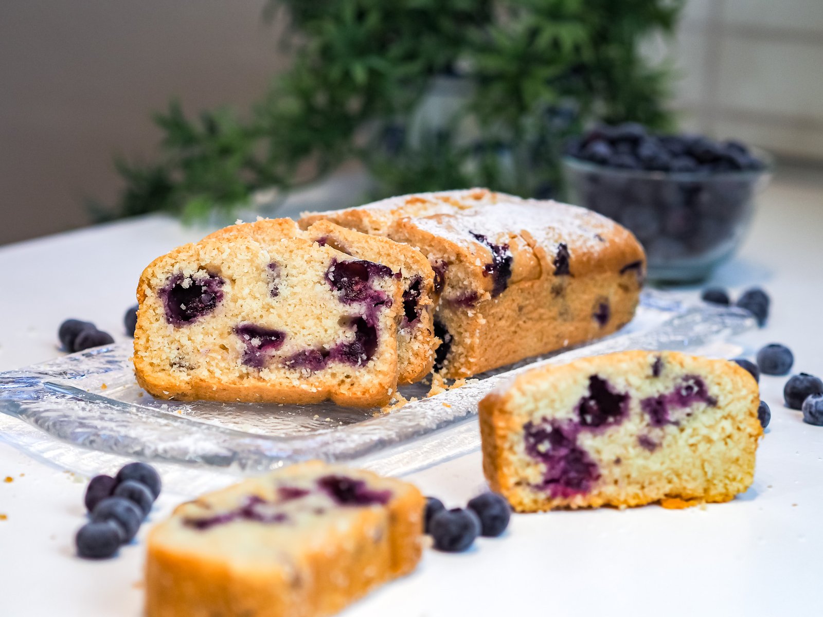 plumcake cocco mirtilli 17
