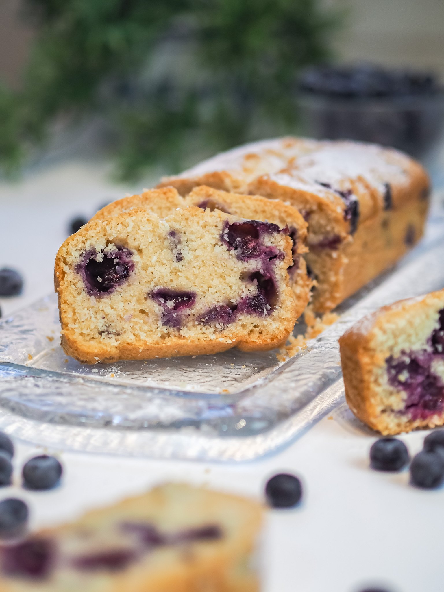 plumcake cocco mirtilli 19