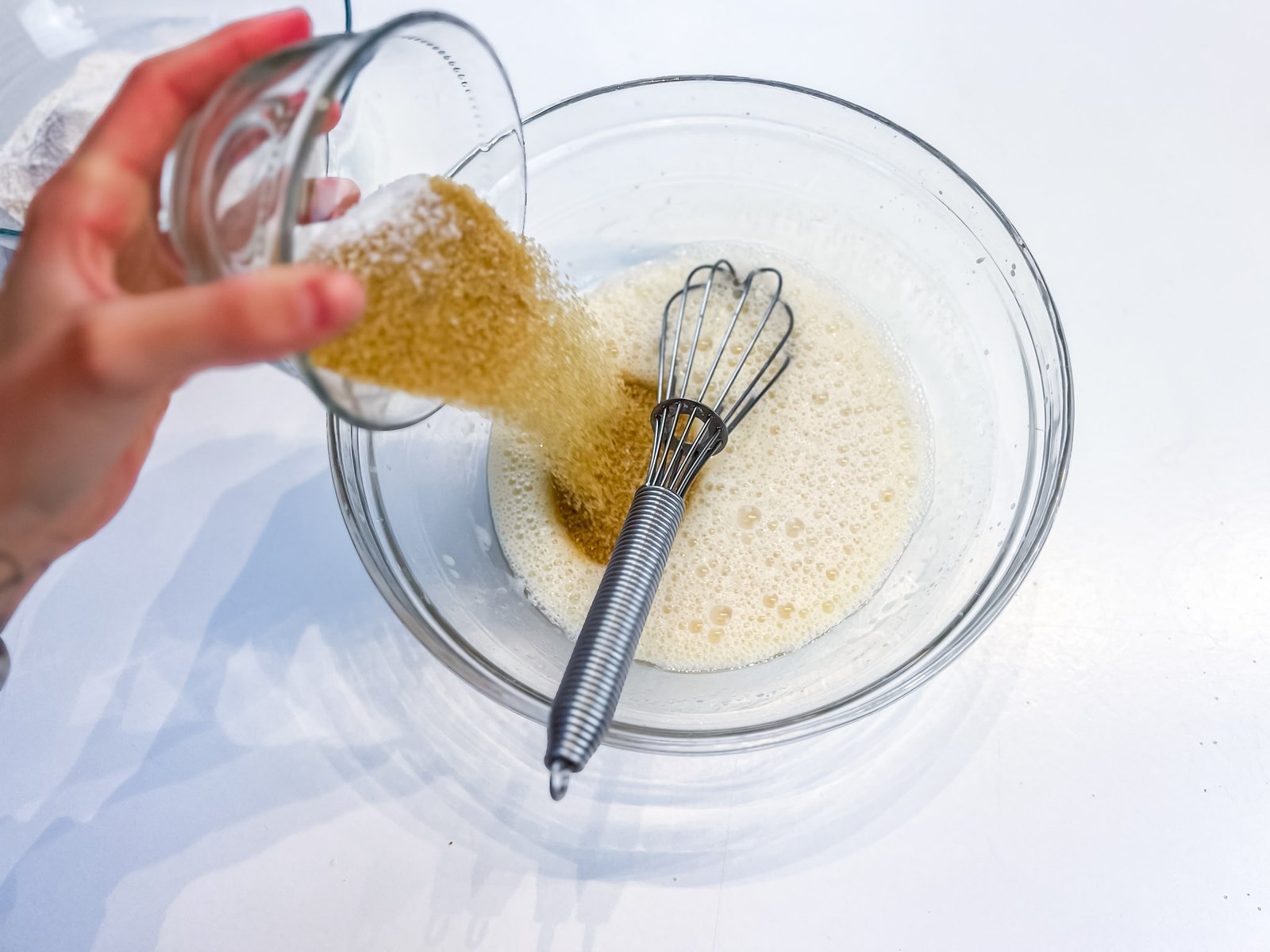 sponge gf 12