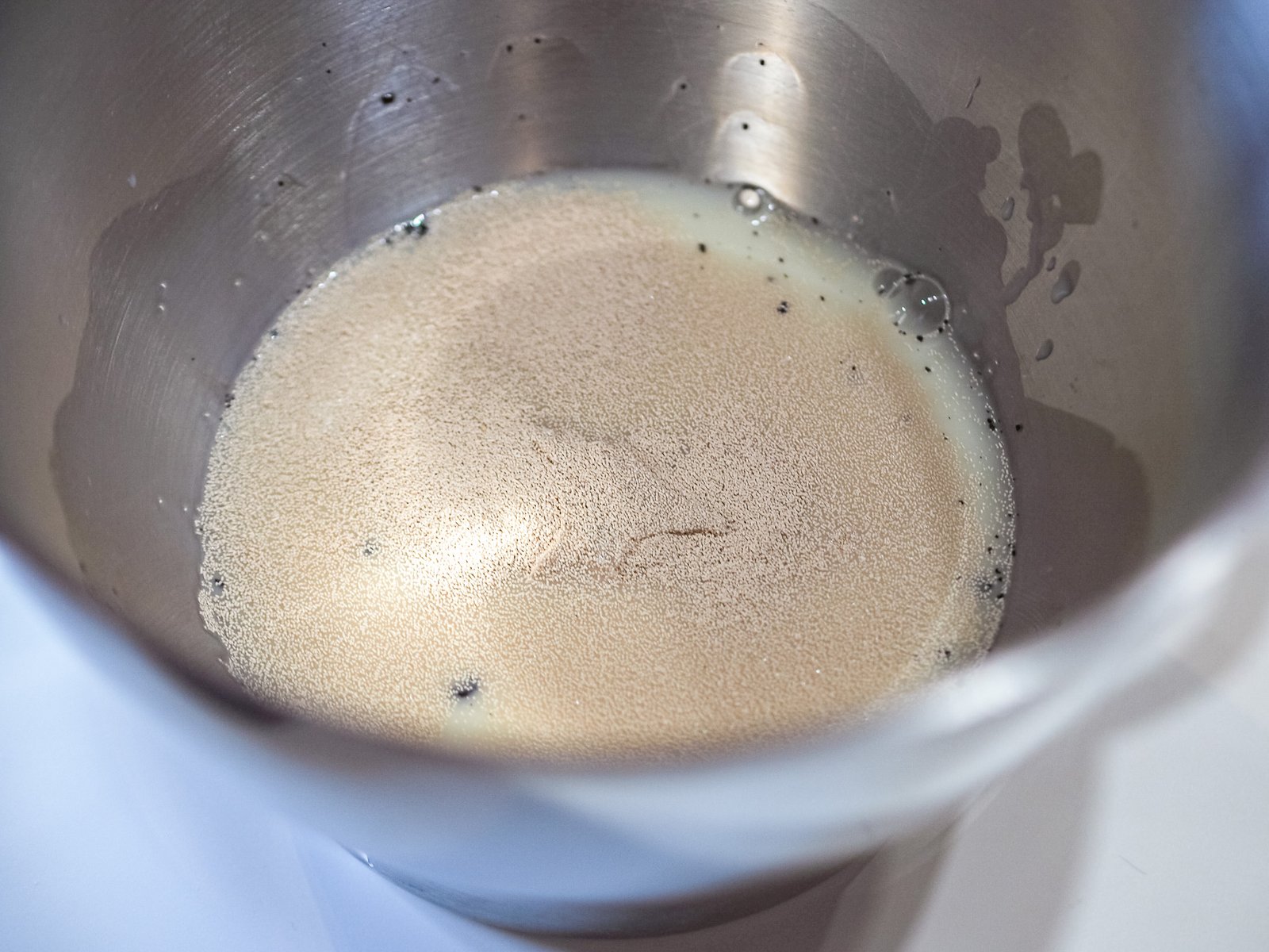 stella brioche