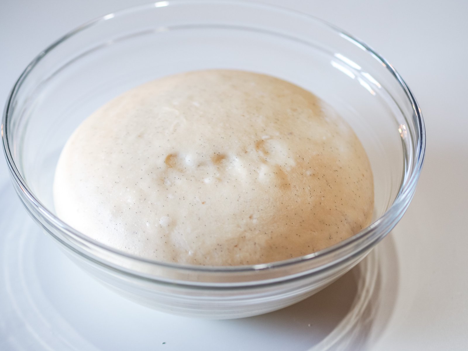 stella brioche