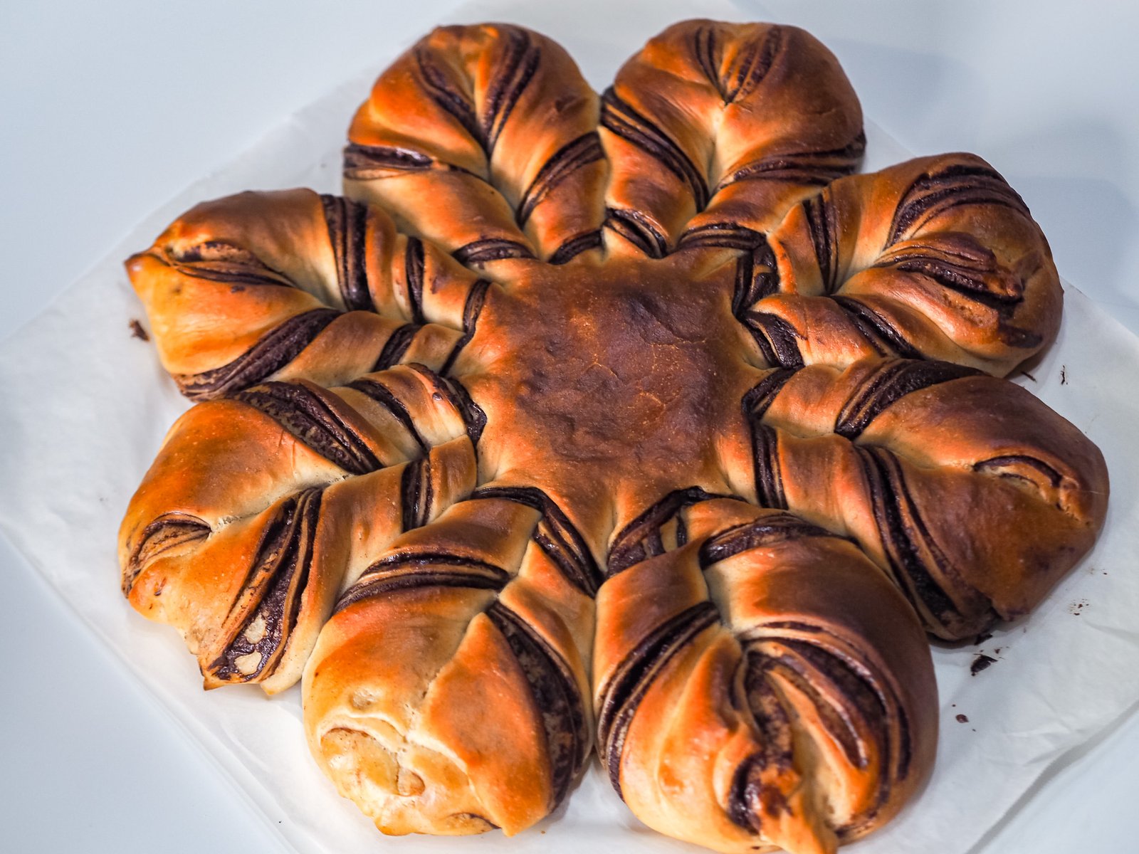 stella brioche