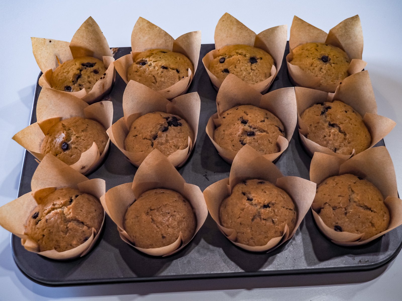 muffin gocce di cioccolato