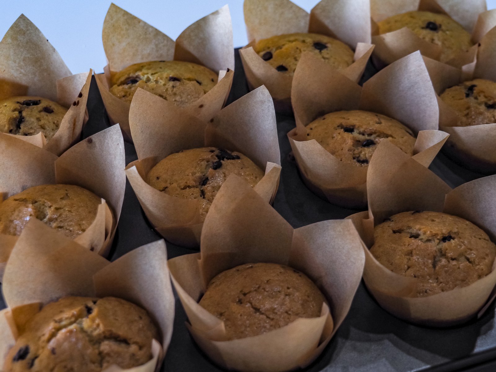 muffin gocce di cioccolato